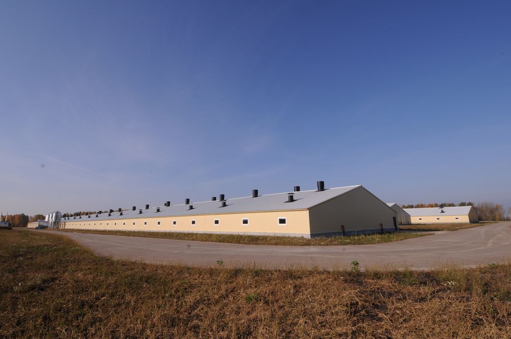 Poultry Farms