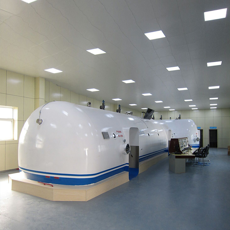 Veterinary hyperbaric oxygen chamber